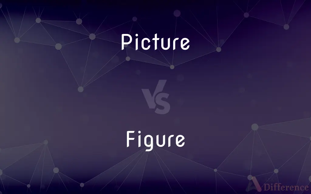 Picture vs. Figure — What's the Difference?