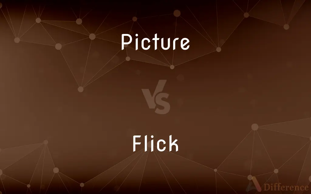 Picture vs. Flick — What's the Difference?