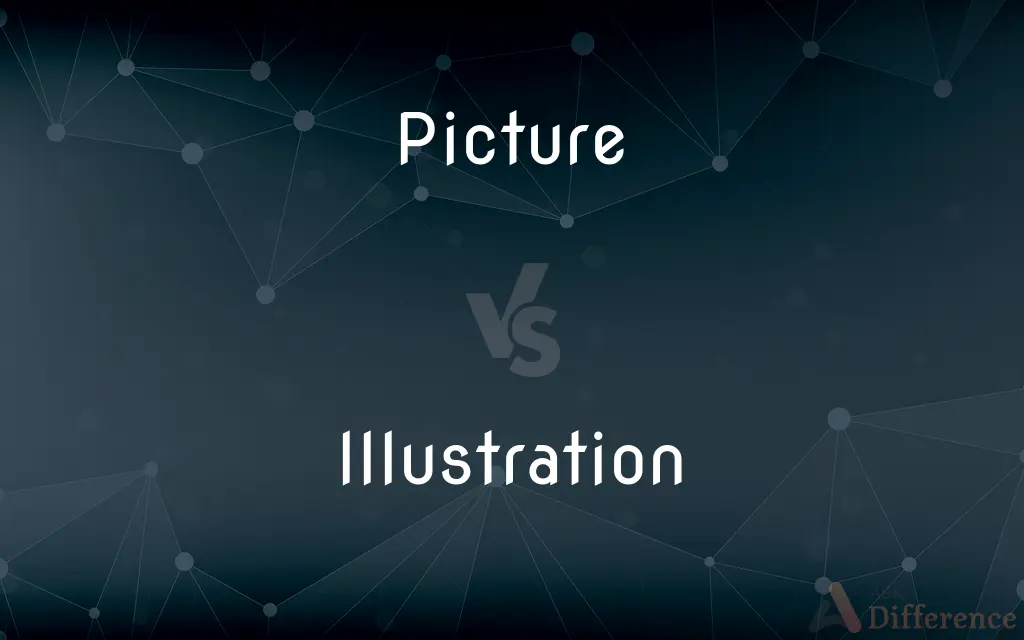 Picture vs. Illustration — What's the Difference?