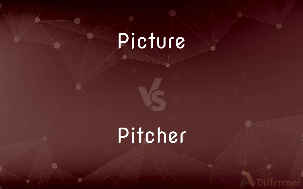 Picture vs. Pitcher — What's the Difference?