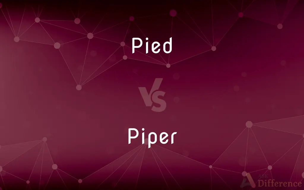 Pied vs. Piper — What's the Difference?