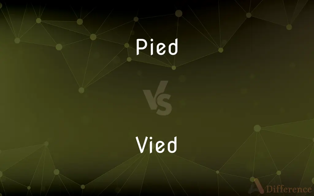 Pied vs. Vied — What's the Difference?