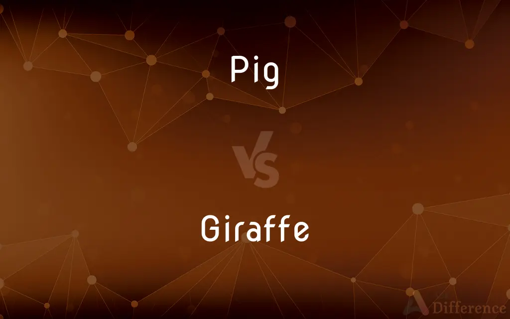 Pig vs. Giraffe — What's the Difference?