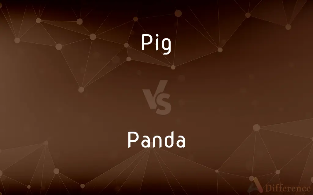 Pig vs. Panda — What's the Difference?
