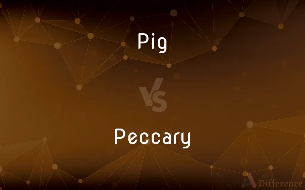 Pig vs. Peccary — What's the Difference?
