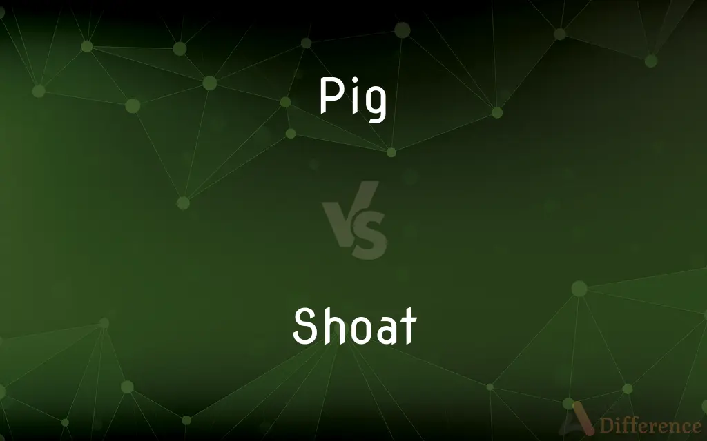 Pig vs. Shoat — What's the Difference?