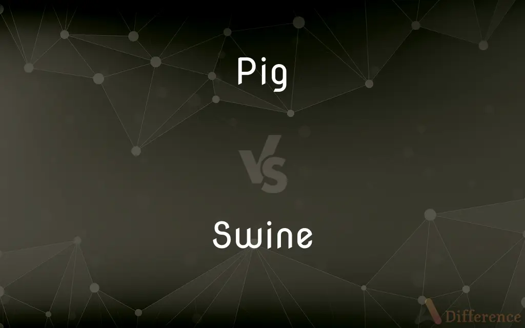 Pig vs. Swine — What's the Difference?