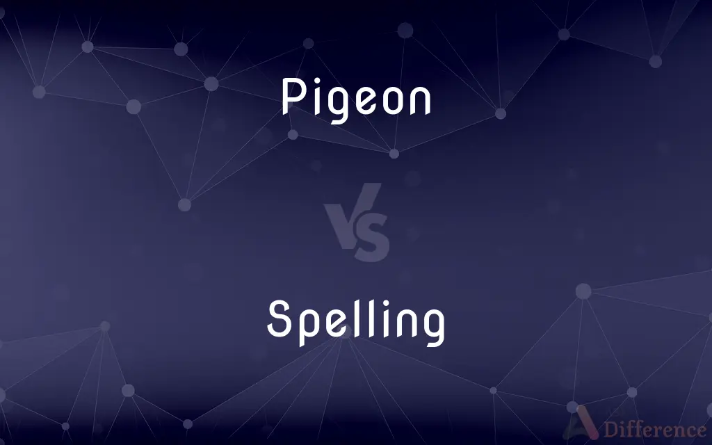 Pigeon vs. Spelling — What's the Difference?