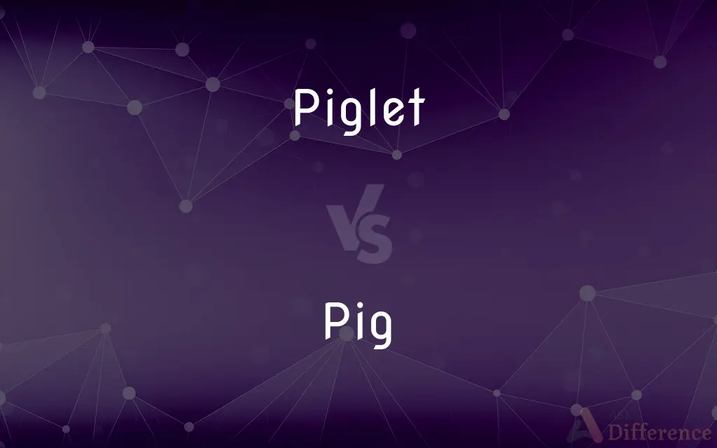 Piglet vs. Pig — What's the Difference?