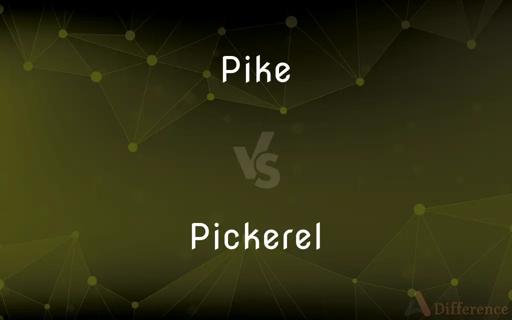 Pike vs. Pickerel — What's the Difference?