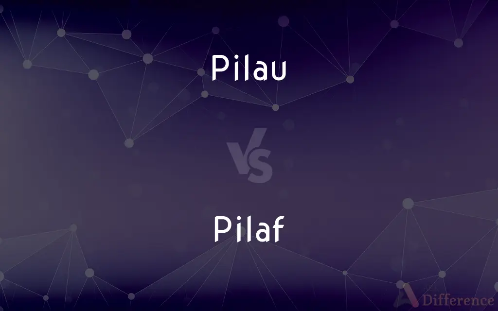 Pilau vs. Pilaf — What's the Difference?