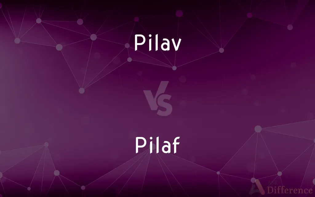 Pilav vs. Pilaf — What's the Difference?
