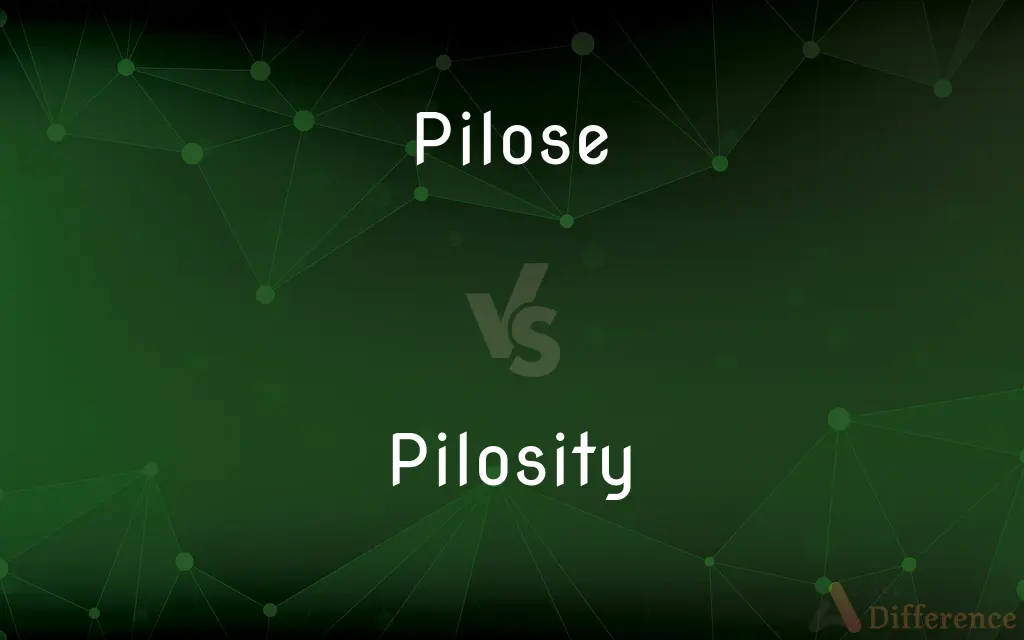 Pilose vs. Pilosity — What's the Difference?