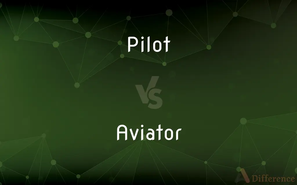 Pilot vs. Aviator — What's the Difference?