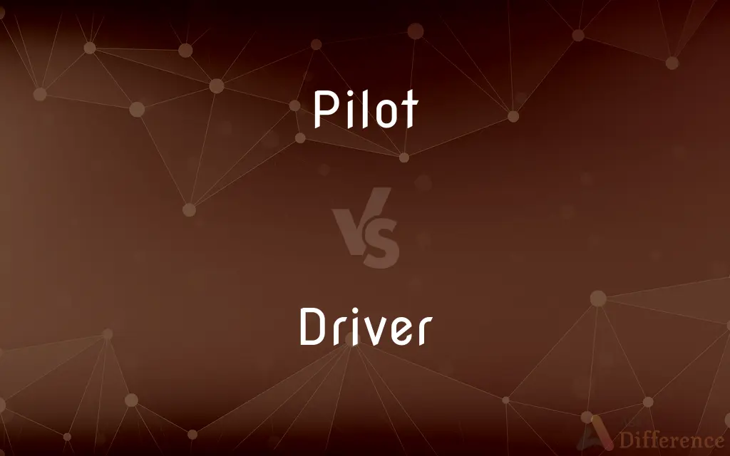 Pilot vs. Driver — What's the Difference?
