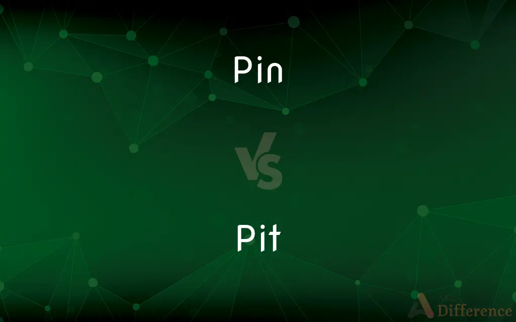 Pin vs. Pit — What's the Difference?