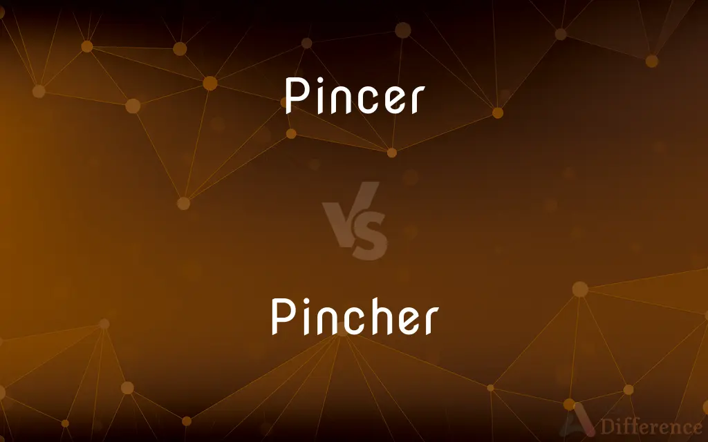 Pincer vs. Pincher — Which is Correct Spelling?