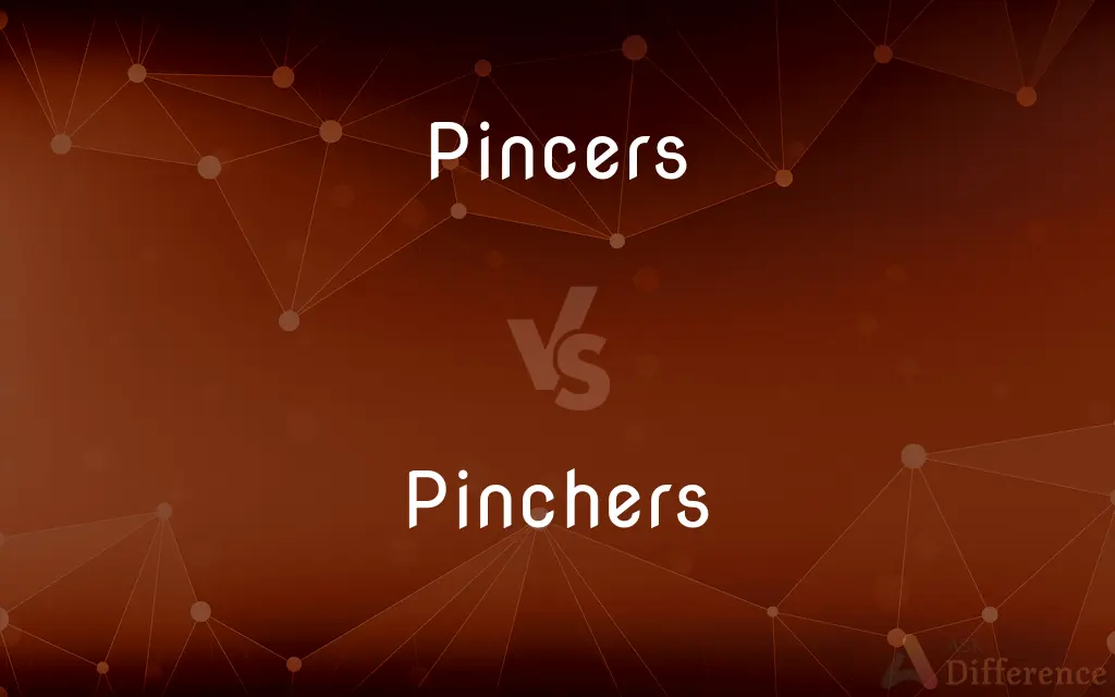 Pincers vs. Pinchers — What's the Difference?