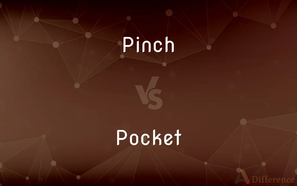 Pinch vs. Pocket — What's the Difference?
