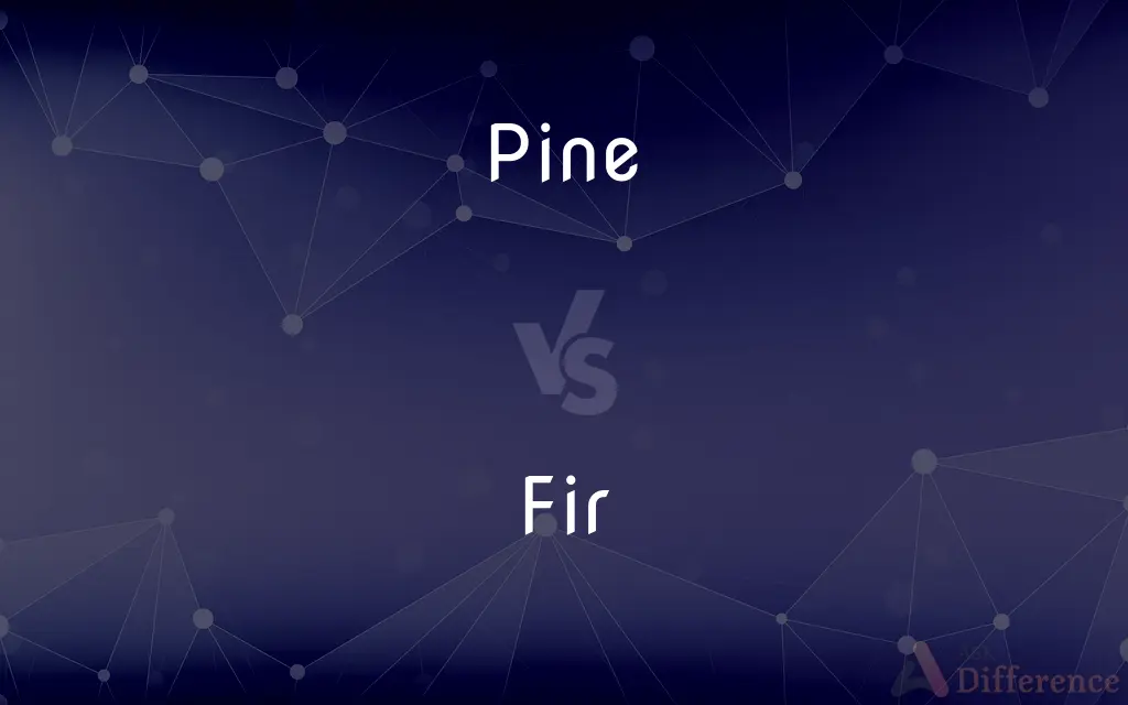 Pine vs. Fir — What's the Difference?