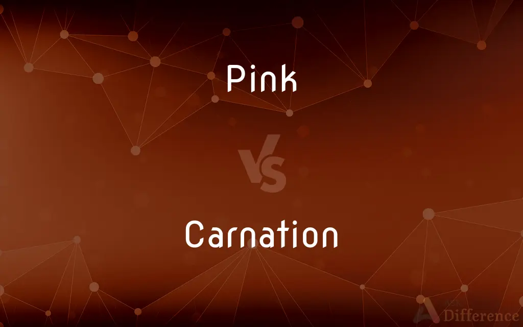 Pink vs. Carnation — What's the Difference?