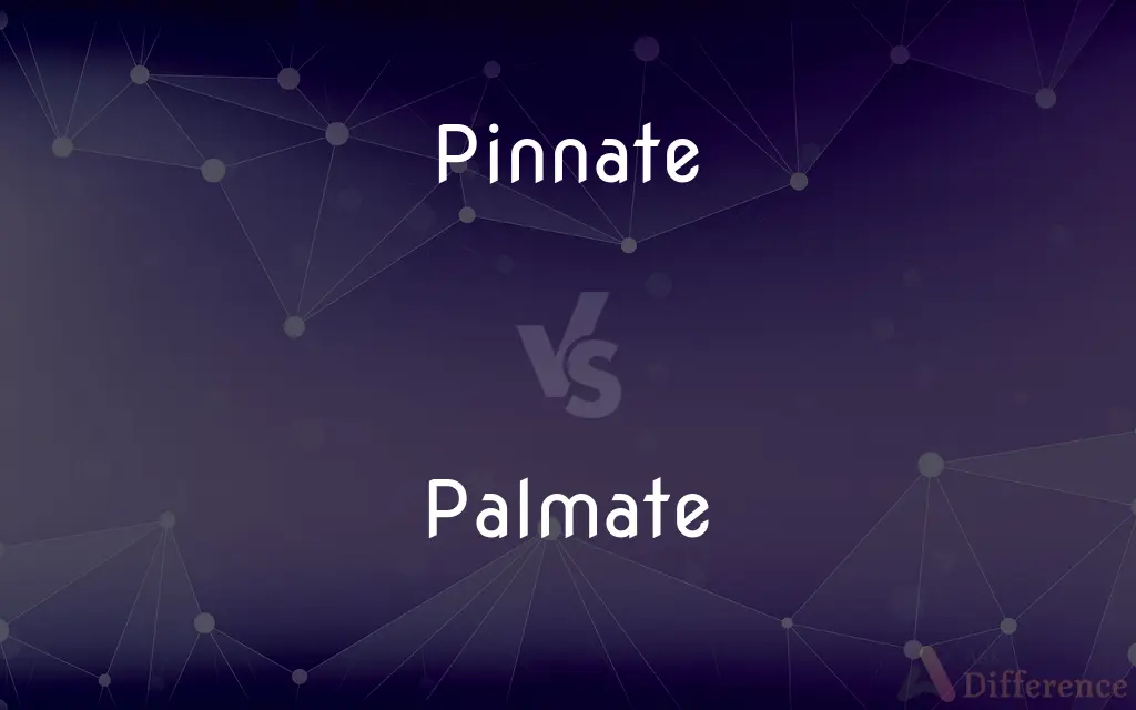 Pinnate vs. Palmate — What's the Difference?