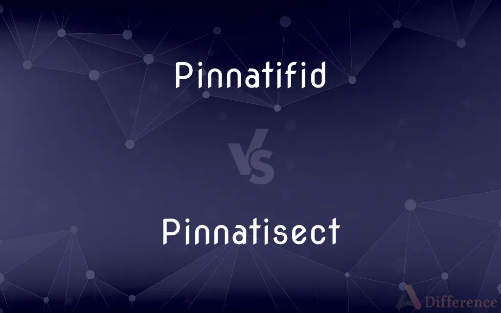 Pinnatifid vs. Pinnatisect — What's the Difference?