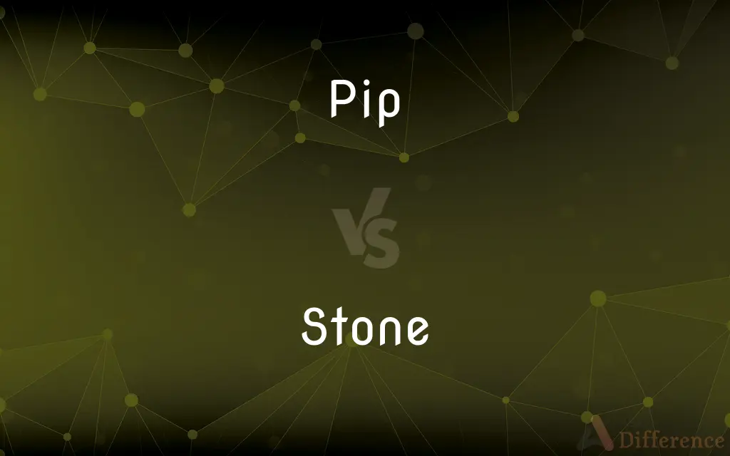 Pip vs. Stone — What's the Difference?