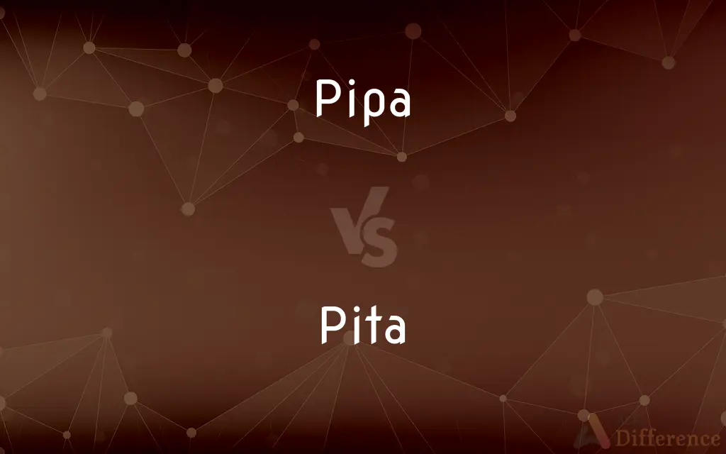 Pipa vs. Pita — What's the Difference?