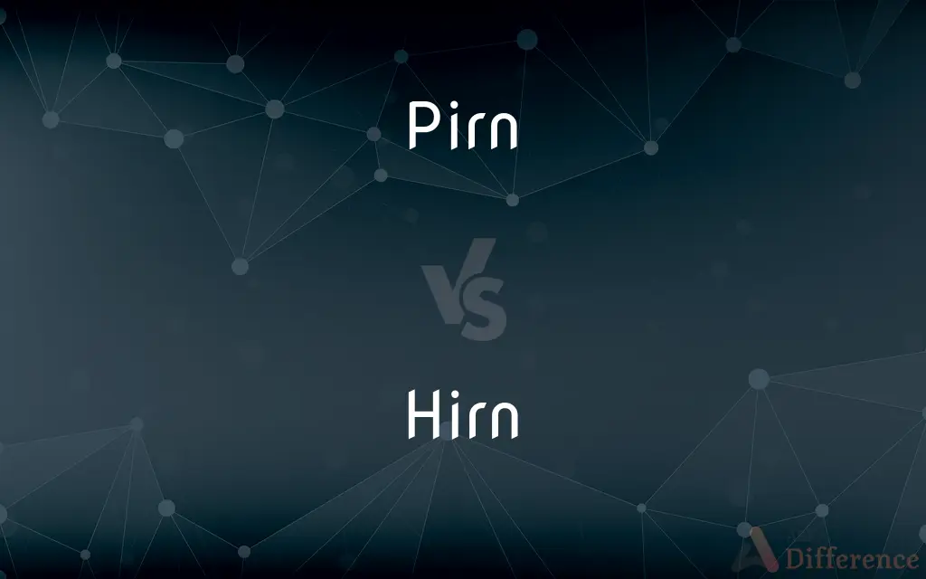 Pirn vs. Hirn — What's the Difference?