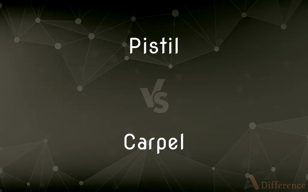 Pistil vs. Carpel — What's the Difference?