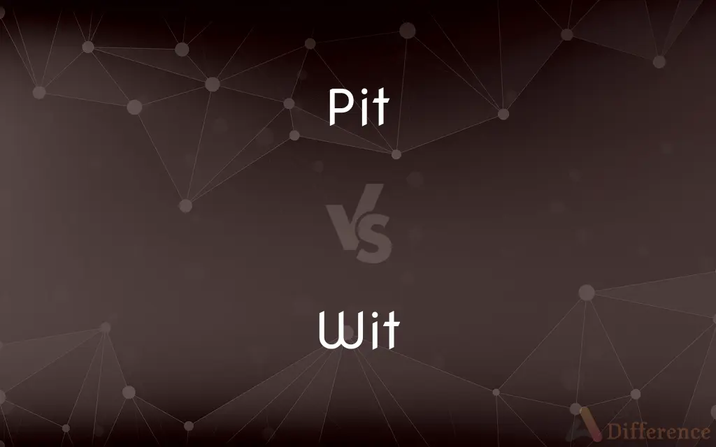 Pit vs. Wit — What's the Difference?