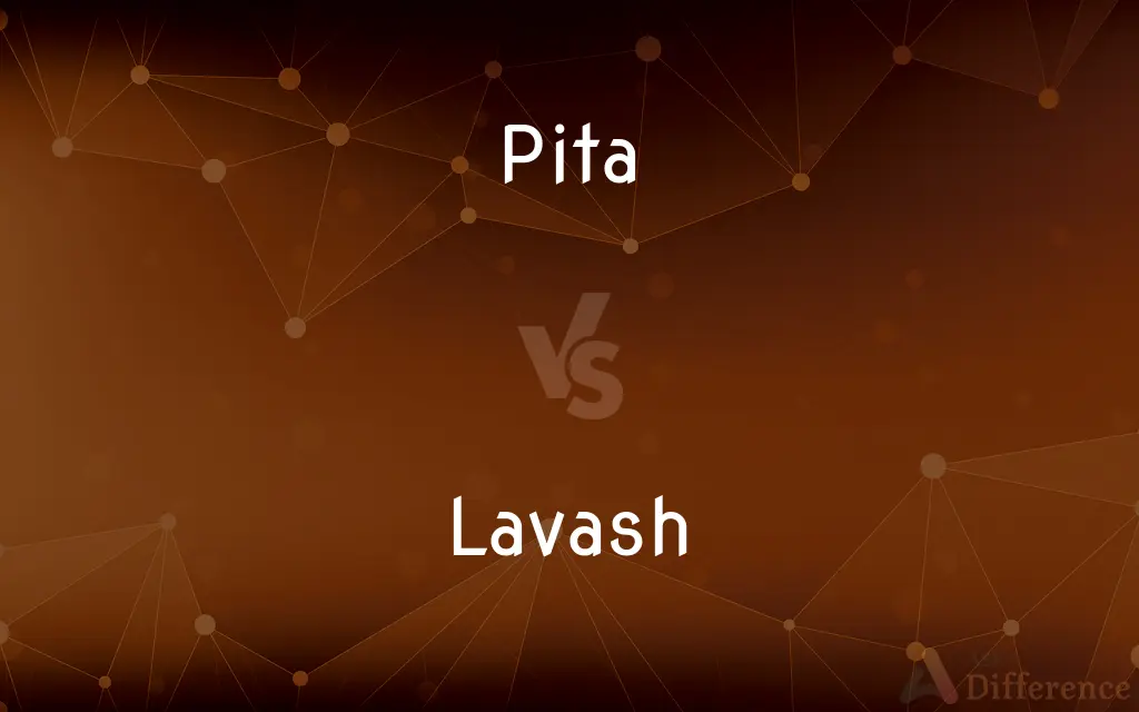 Pita vs. Lavash — What's the Difference?