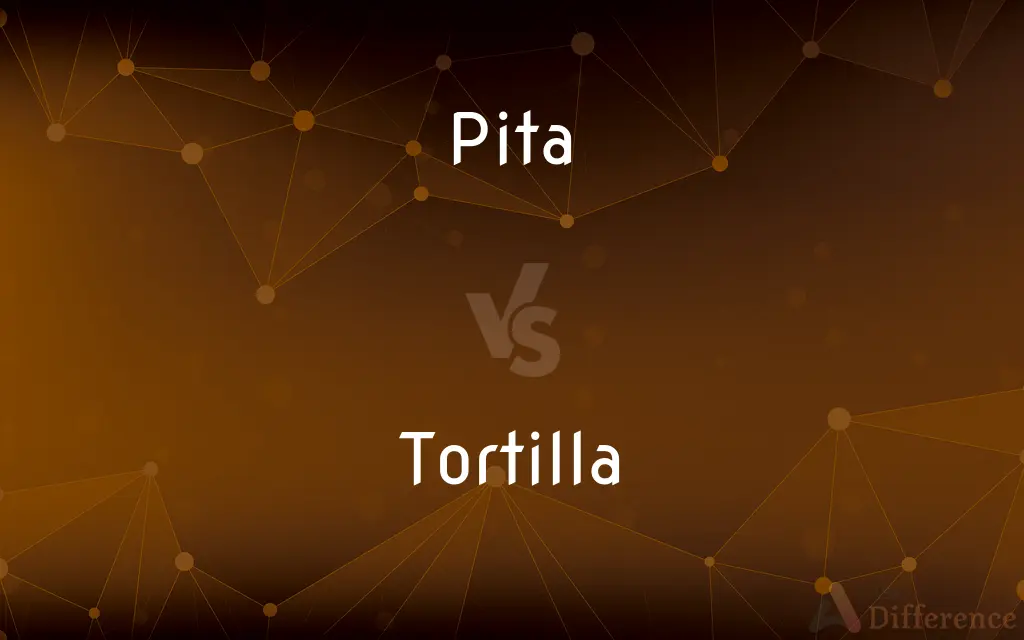 Pita vs. Tortilla — What's the Difference?