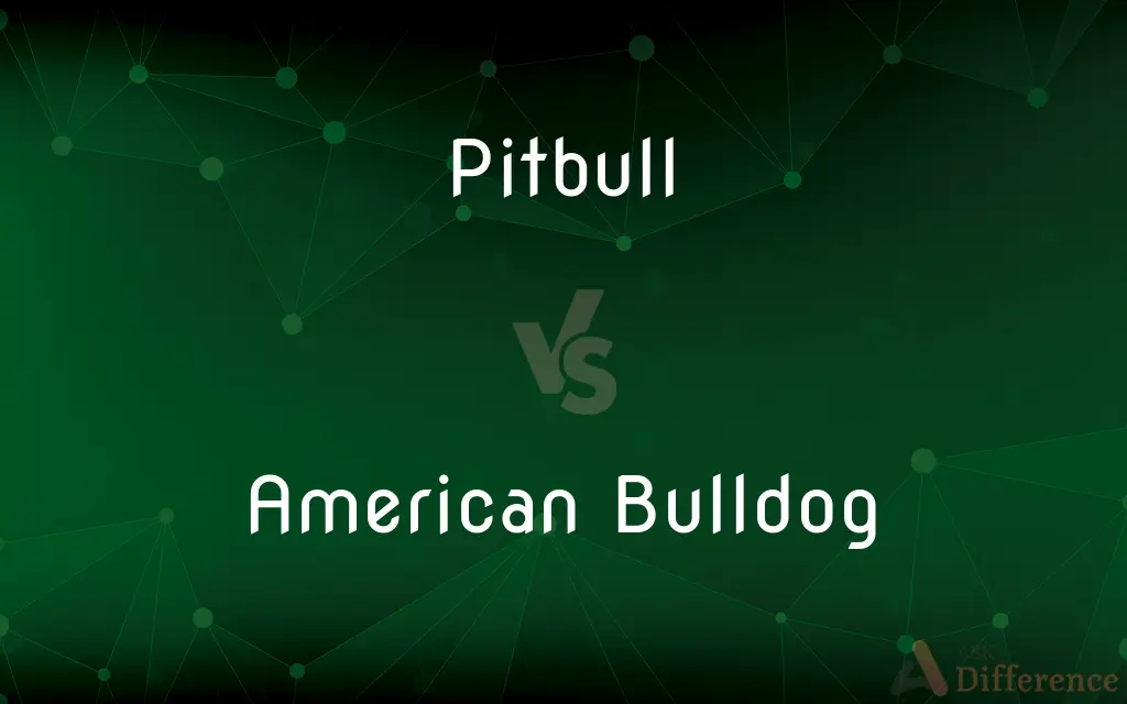 Pitbull vs. American Bulldog — What's the Difference?