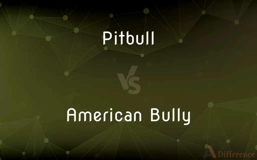 Pitbull vs. American Bully — What's the Difference?