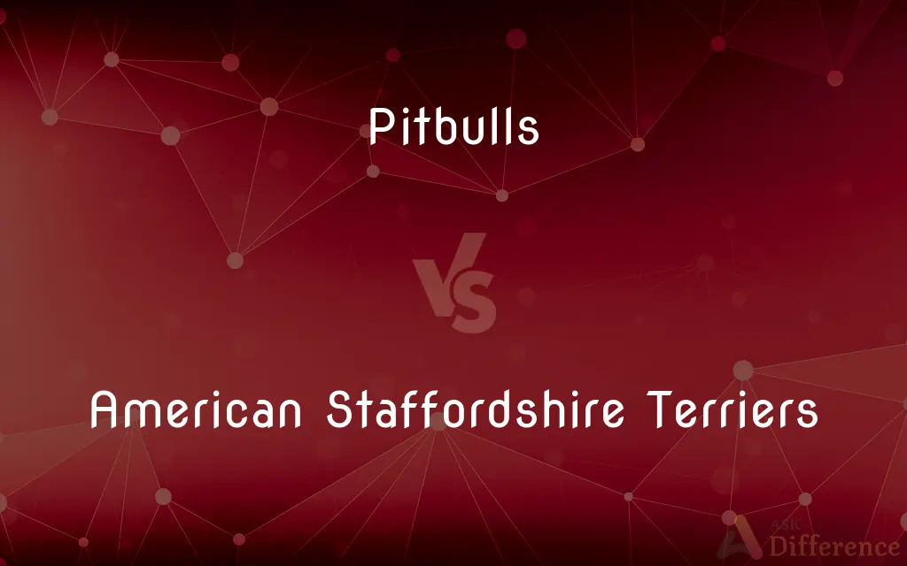 Pitbulls vs. American Staffordshire Terriers — What's the Difference?