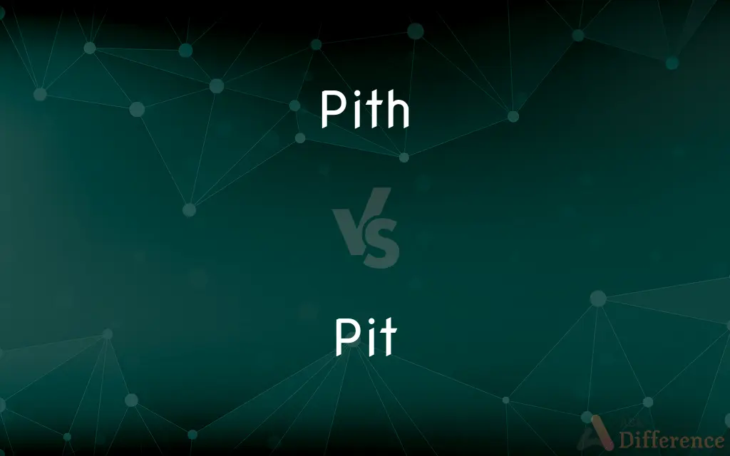 Pith vs. Pit — What's the Difference?