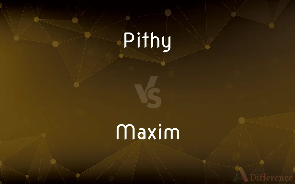 Pithy vs. Maxim — What's the Difference?