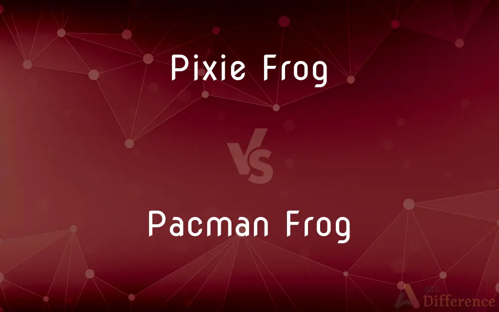 Pixie Frog vs. Pacman Frog — What's the Difference?