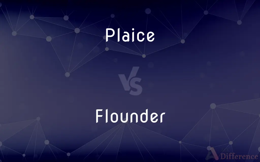 Plaice vs. Flounder — What's the Difference?