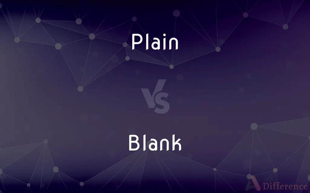 Plain vs. Blank — What's the Difference?