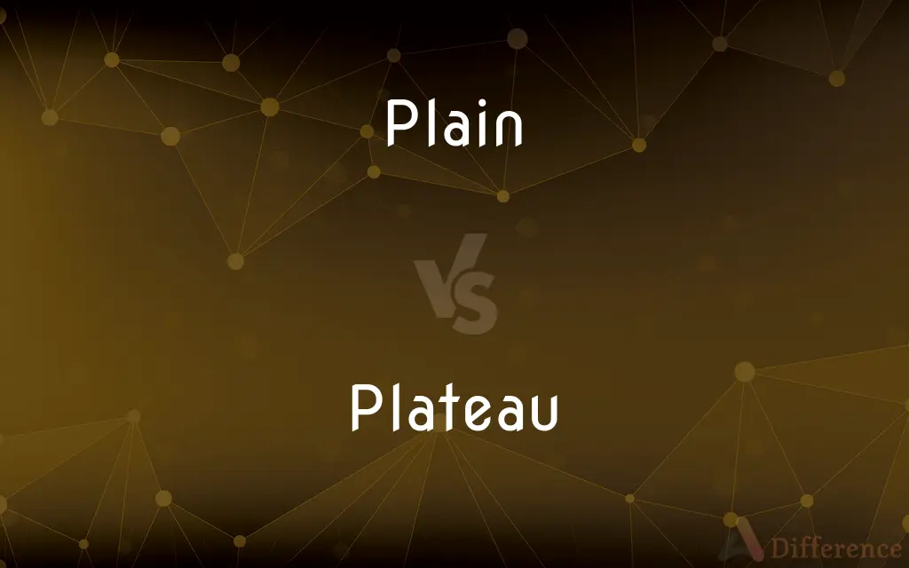 Plain vs. Plateau — What's the Difference?