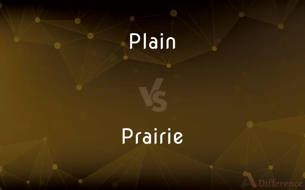 Plain vs. Prairie — What's the Difference?