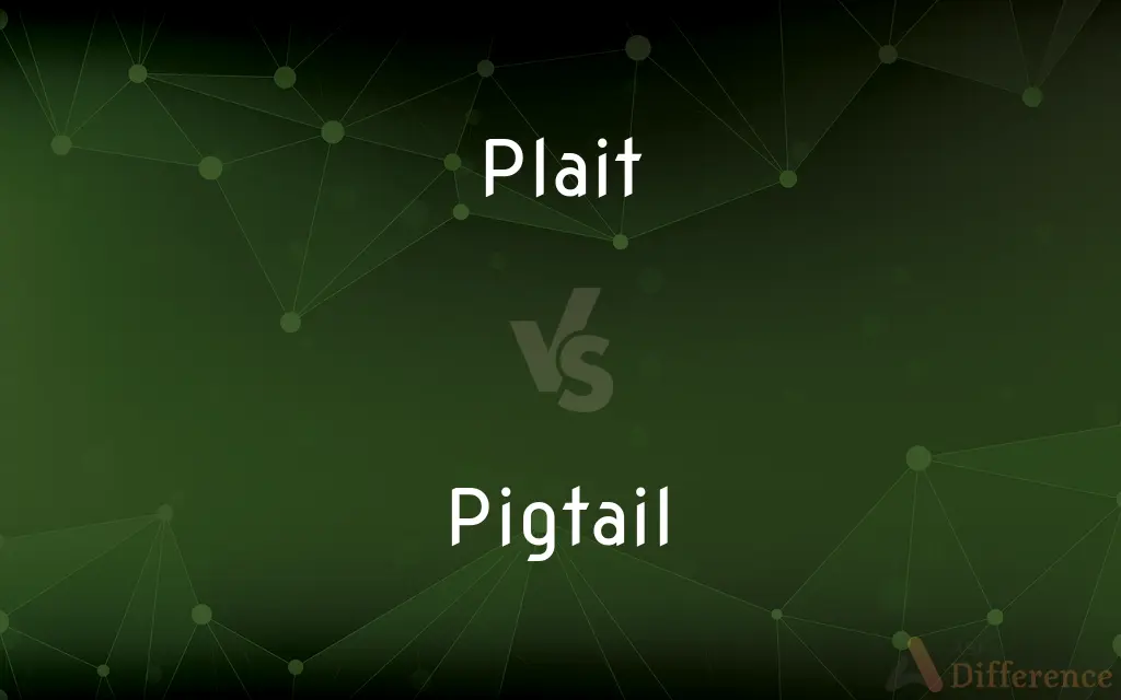 Plait vs. Pigtail — What's the Difference?