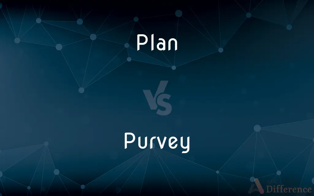 Plan vs. Purvey — What's the Difference?