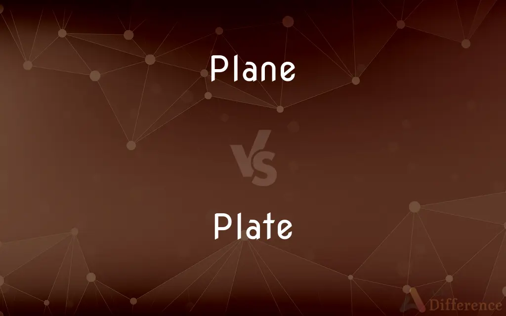 Plane vs. Plate — What's the Difference?
