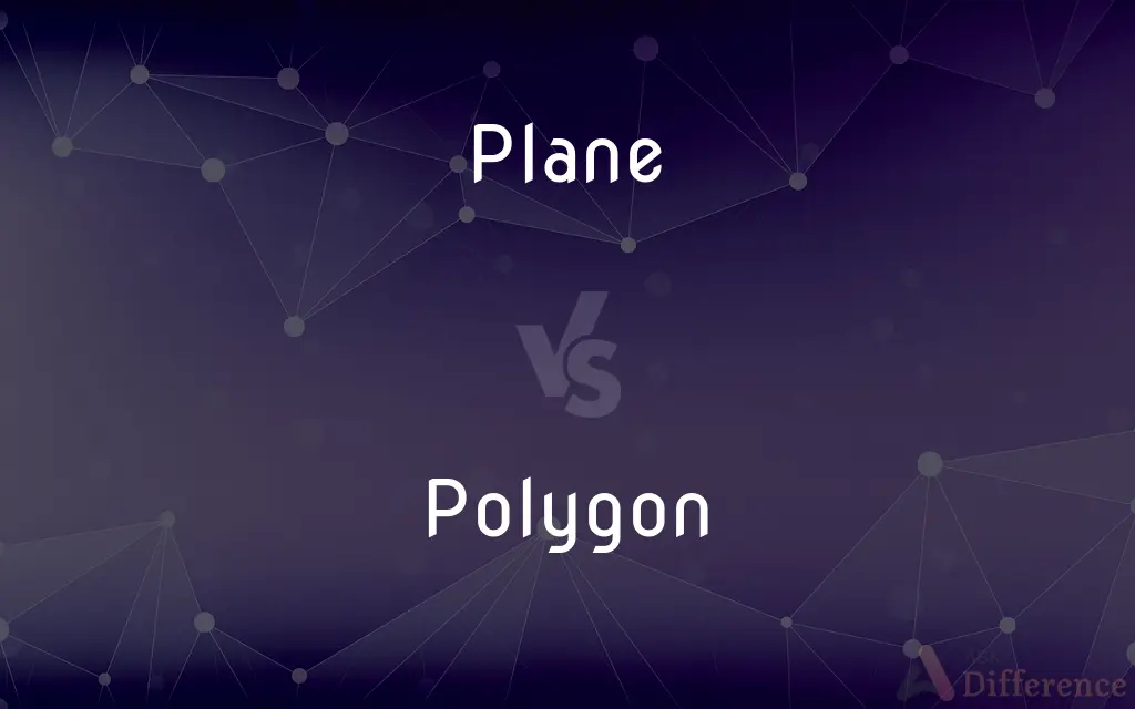Plane vs. Polygon — What's the Difference?
