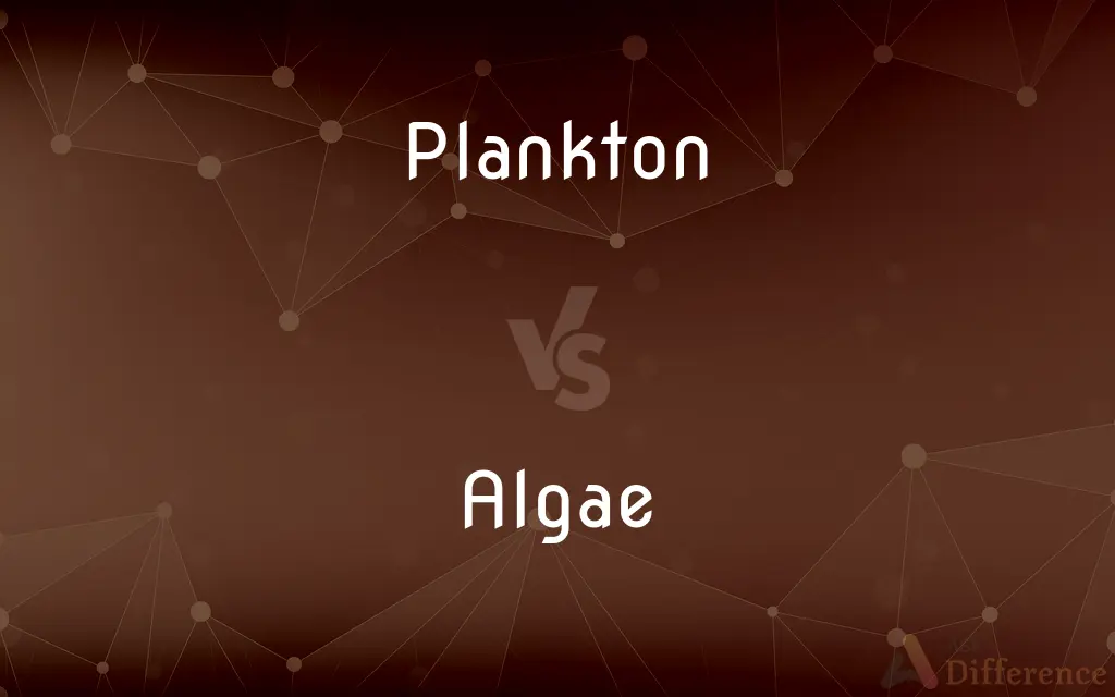 Plankton vs. Algae — What's the Difference?