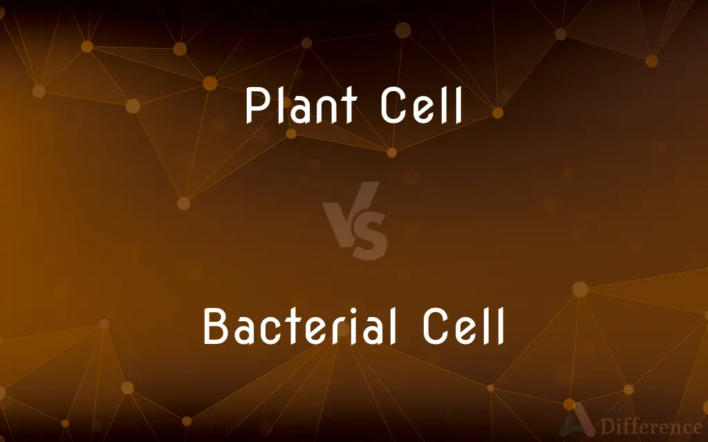 Plant Cell vs. Bacterial Cell — What's the Difference?